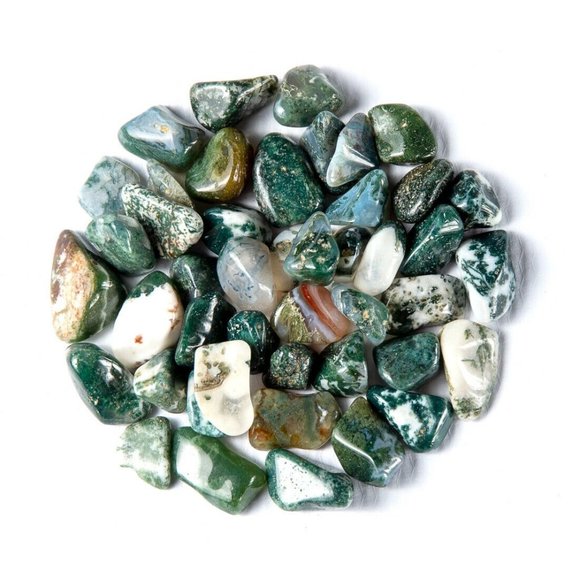 Tree of Life Gems Other - 1/4 lb Polished Tree Agate Crystal Gemstones